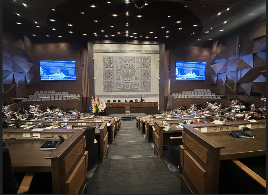 La Cámara de Diputados designará vocales de tres departamentos