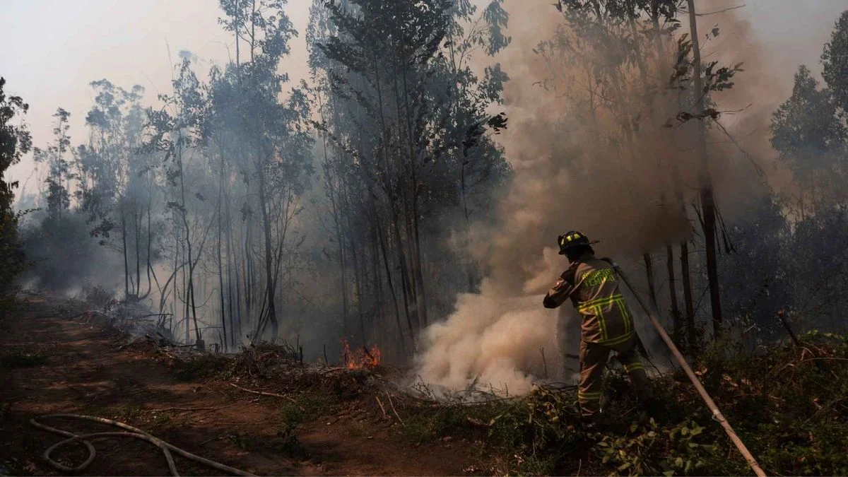 Colombia enviará apoyo técnico a Chile por megaincendios forestales