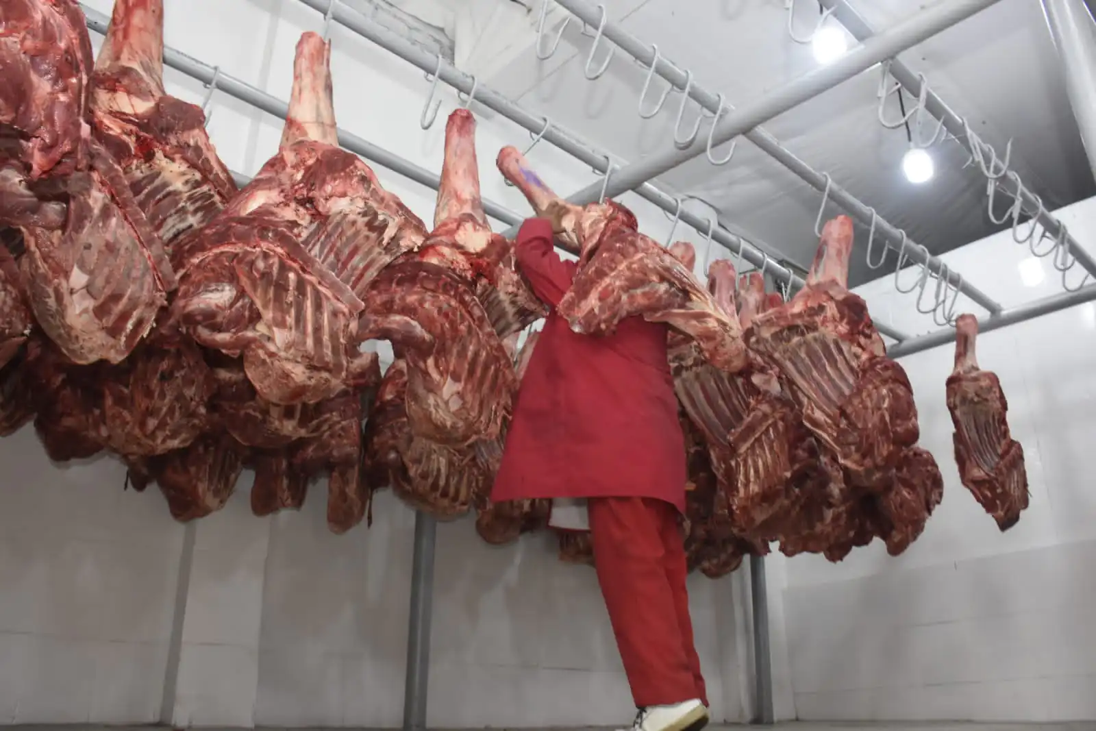 Trabajadores en carne piden suspender exportaciones por desabastecimiento