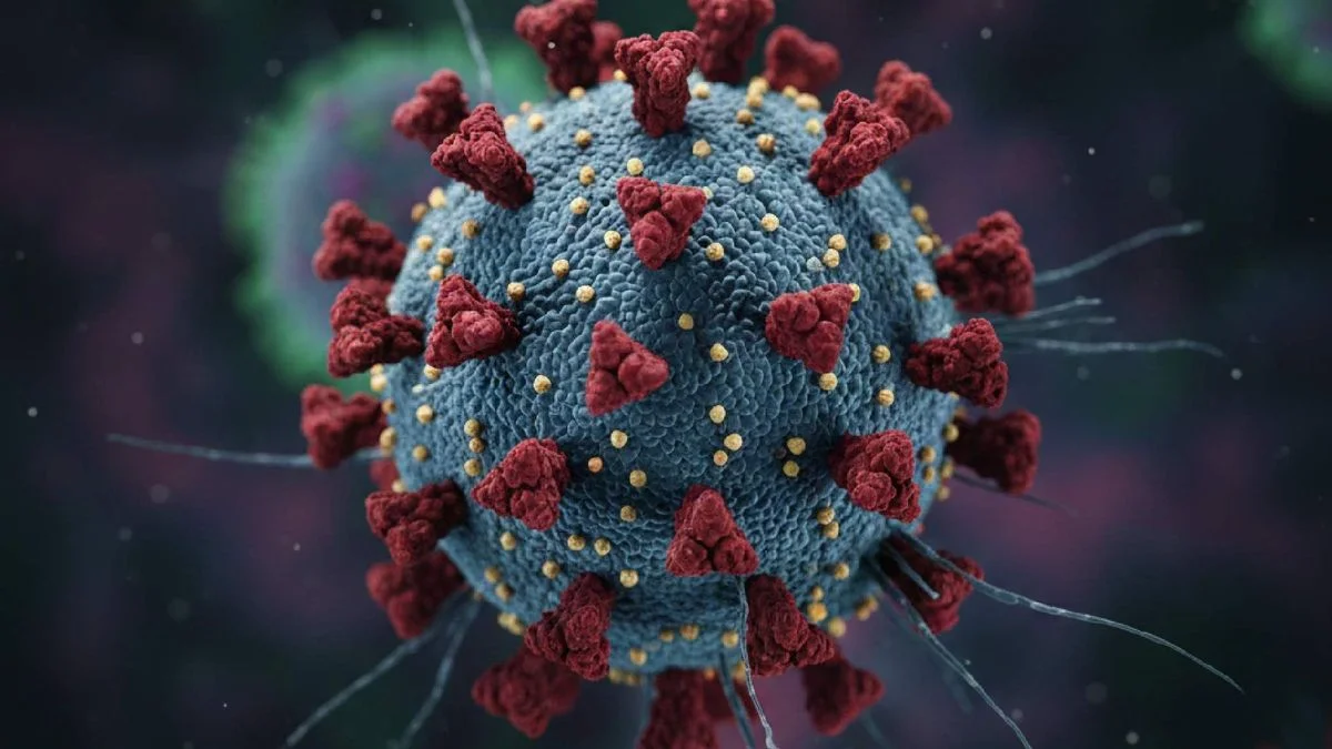 ¿Qué es Nipah, virus sin tratamiento que mantiene en alerta a la India?