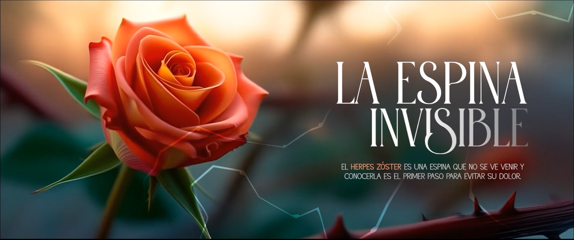 Noticias breves. 24 de febrero de 2026