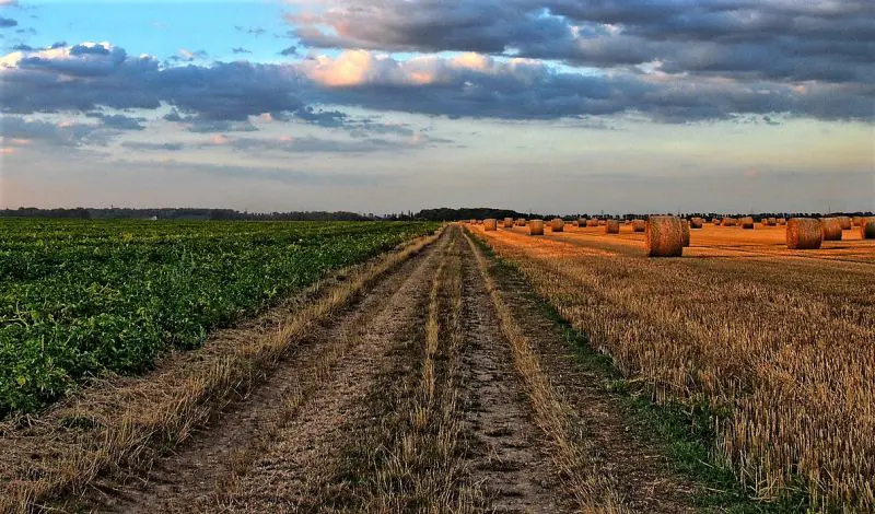 Tierras: la trampa del crédito y la amenaza del despojo