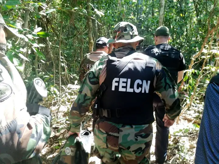 Gobierno secuestra más de 4,7 toneladas de marihuana y 79 kilos de cocaína