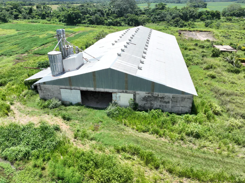 Gobierno denuncia daño de Bs 300 MM por compras irregulares en B-Agro