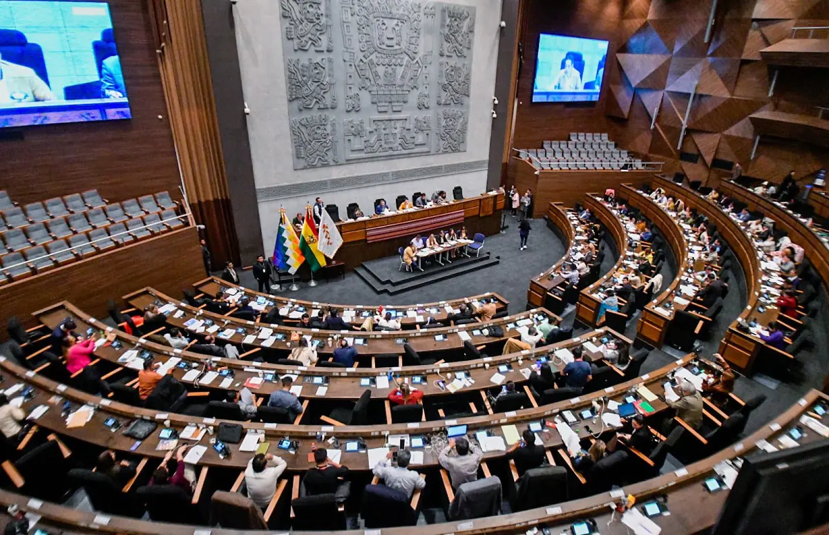 Comisión de Diputados dará primer informe en 20 días