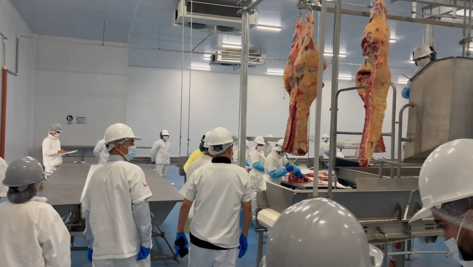 Bolivia entra en la etapa final para exportar carne bovina y lácteos a Chile