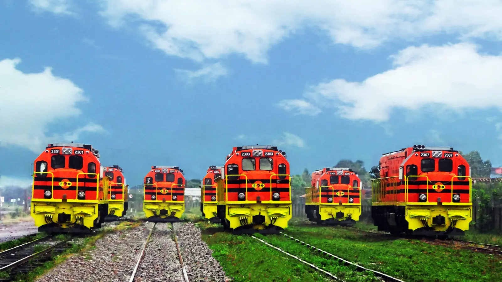 Estructura accionaria y financiamiento de Ferroviaria Oriental: los hechos detrás del caso