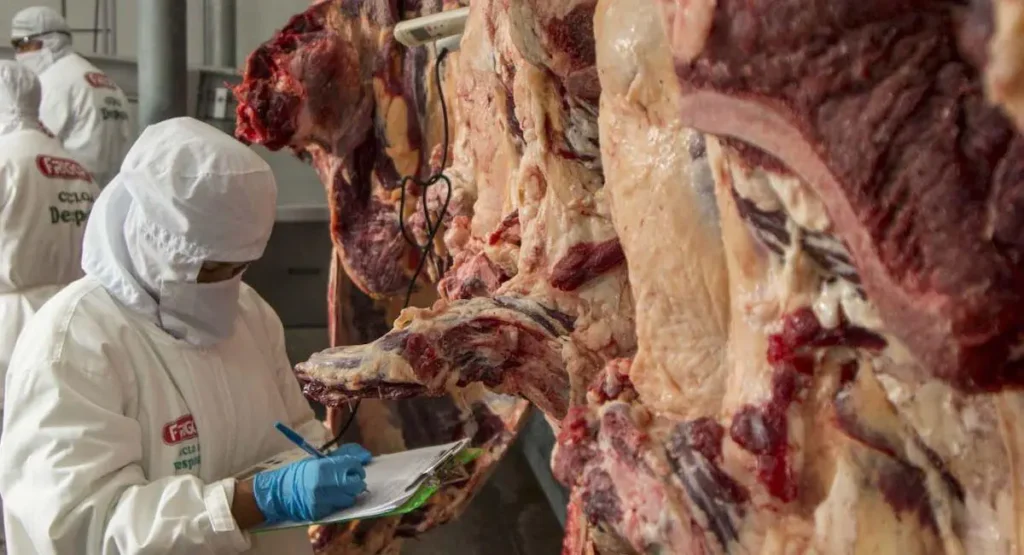 Bolivia comenzará a exportar carne a Paraguay