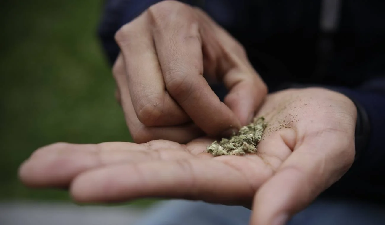 Estados Unidos reclasifica oficialmente a la marihuana como menos peligrosa y amplía el acceso