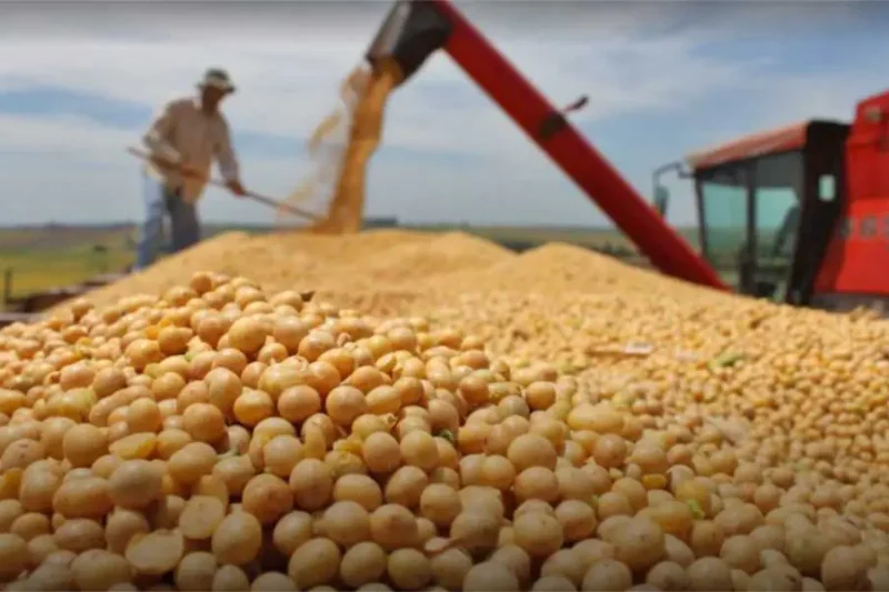 Hay riesgo para la seguridad alimentaria por falta de diésel, advierte Anapo