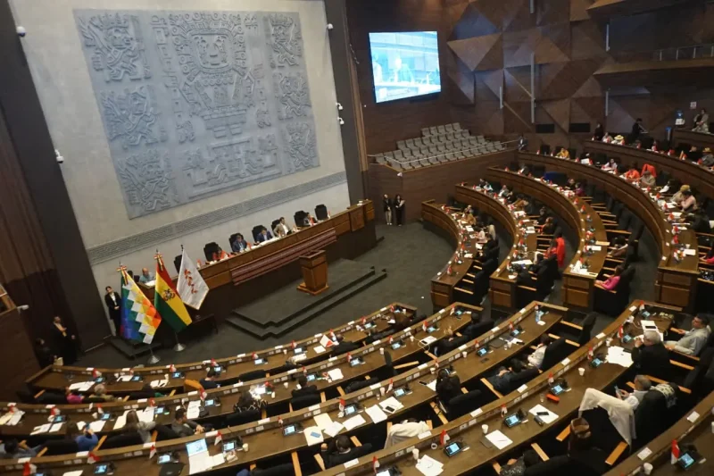 Asamblea convoca a sesión para interpelar a la ministra de Salud