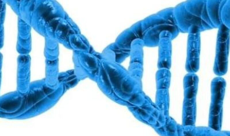 Noticias breves. 21 de junio de 2026