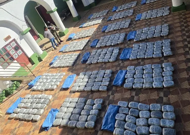 La FELCN decomisa más de media tonelada de droga en Tupiza