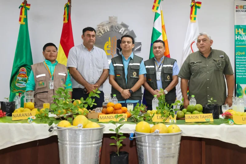 Senasag activa medidas para proteger los cítricos del HLB