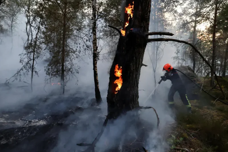 Las llamas siguen avanzando en el bosque de Fontainebleau, cerca de París