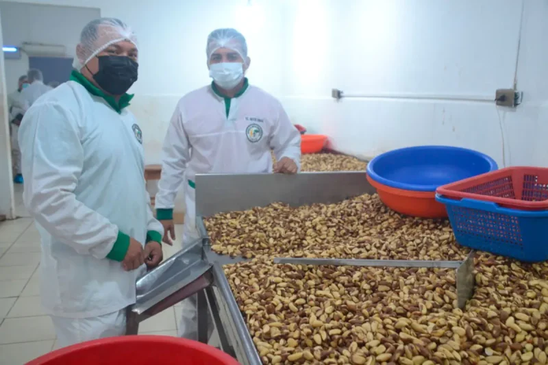 Cadexnor impulsa junto a la UE agenda para fortalecer competitividad de la castaña