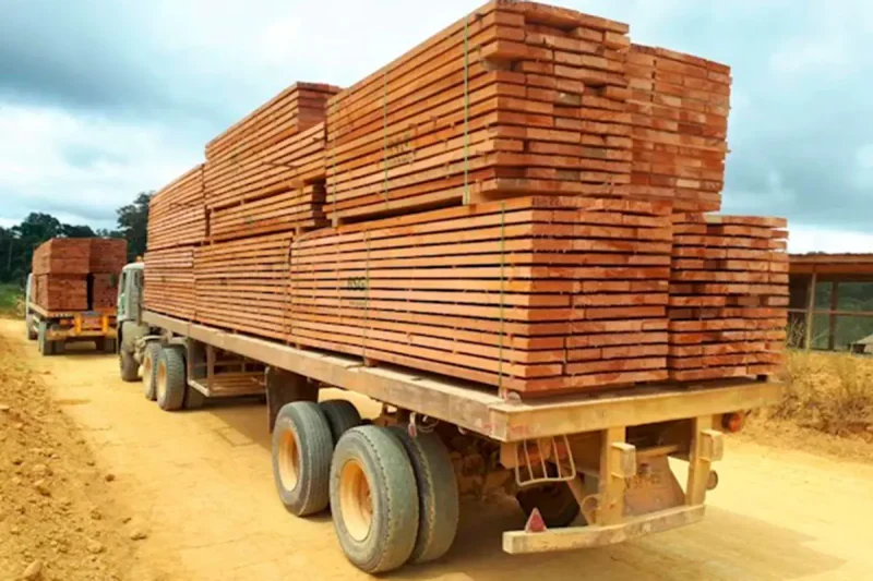 CFB pide no vincular pruebas negativas con el caso de la madera en Chile