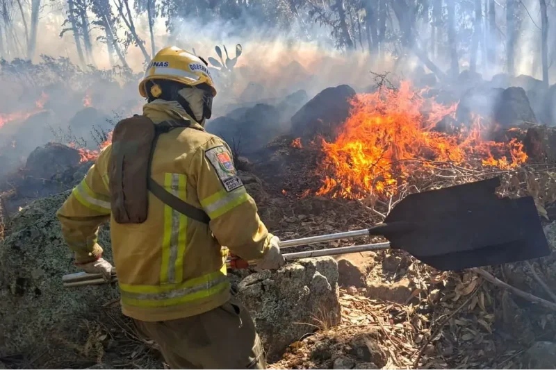 Vecinos denuncian que incendio en el parque Tunari fue provocado
