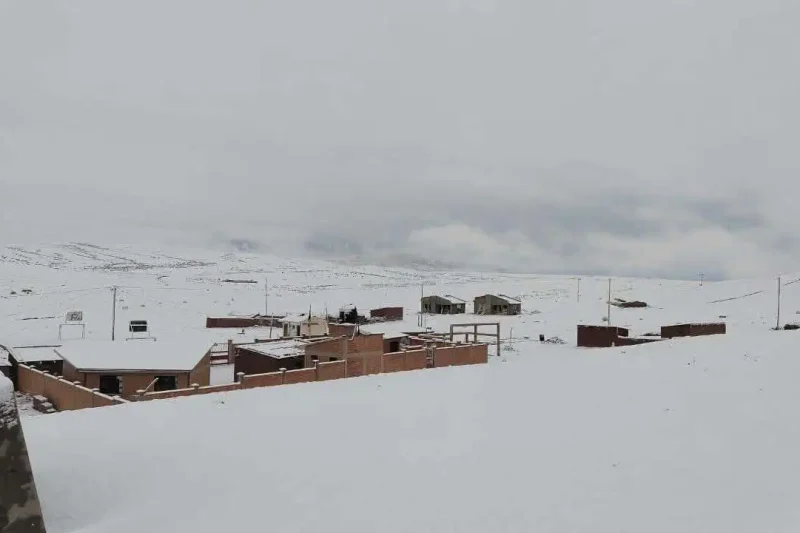 Intensas nevadas cubren de blanco comunidades de Potosí