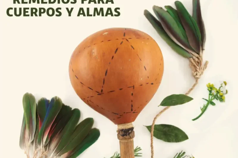 Musef presenta una agenda cultural diversa para agosto