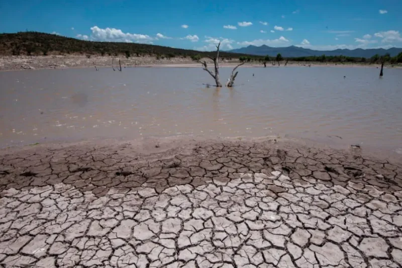 El Niño llega con toda su fuerza y se quedará hasta enero