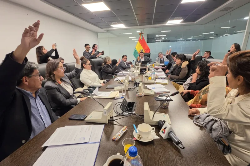 Comisión aprueba préstamo del FMI por $us 1.900 millones