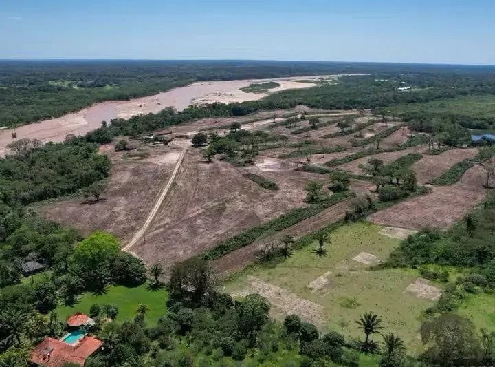 Denuncian la tala de 44,5 hectáreas de bosque en Santa Cruz