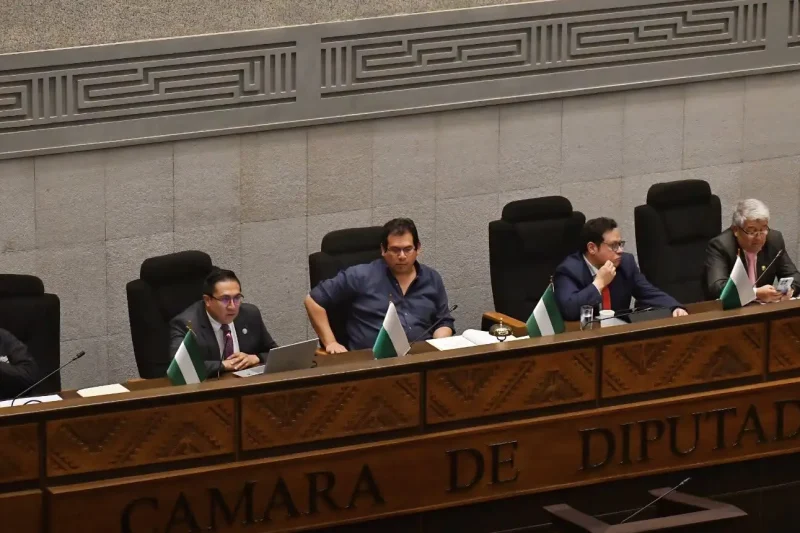 Diputados aprueba crédito de $us 1.900 millones del FMI