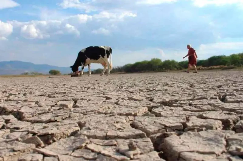 El Senamhi alerta que El Niño golpeará a Tarija con calor y sequía desde octubre