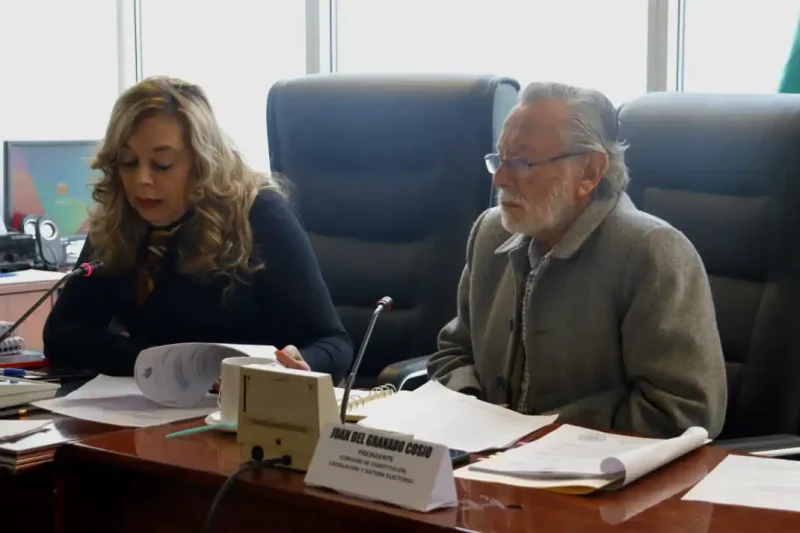 Del Granado alerta de riesgo de nulidad en reforma de la CPE