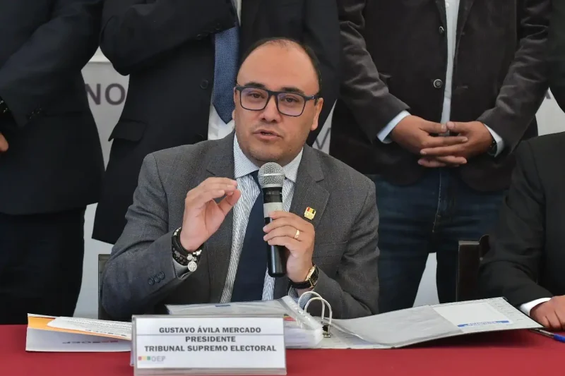 TSE prevé entregar proyecto de reforma electoral a finales de noviembre