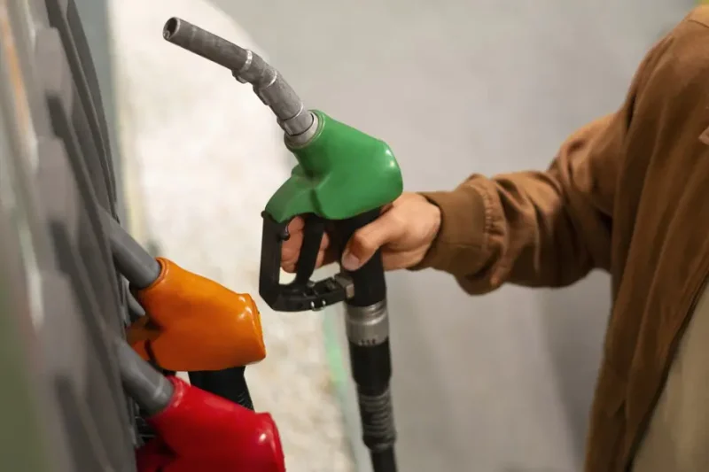 El subsidio a los combustibles y los límites al poder del Ejecutivo