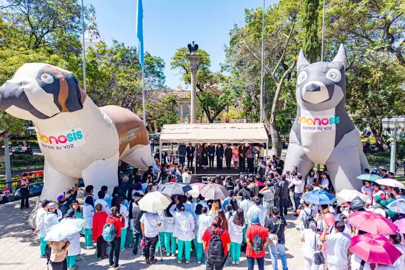 La Alcaldía de Cochabamba tiene listas 360.000 dosis para campaña antirrábica