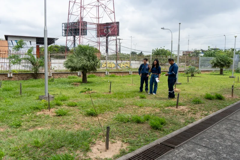 YPFB cumple compromiso ambiental y aporta 761 árboles nativos a Santa Cruz