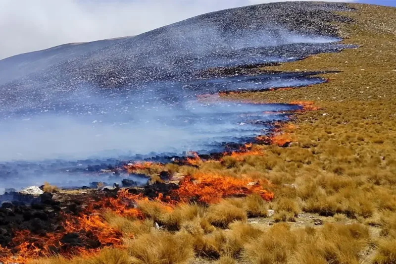 Incendio avanza en la cordillera de Sama y Sernap moviliza equipo
